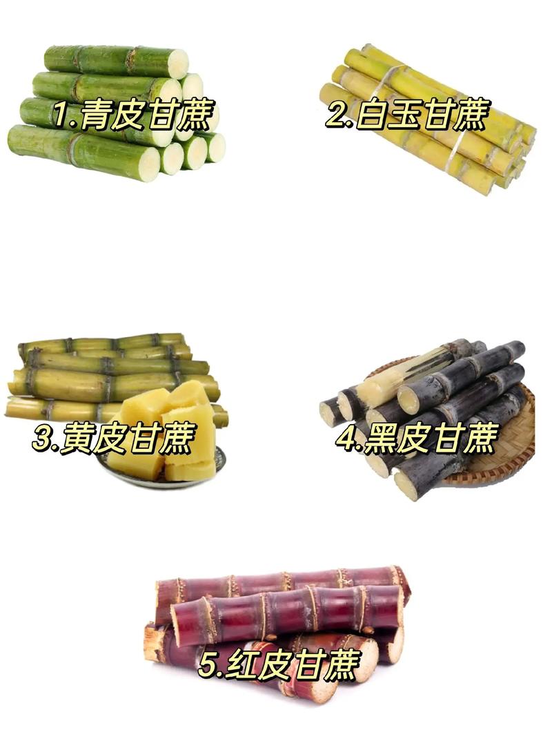 你吃过几种甘蔗呢?在评论区说说吧!还有什么甘蔗呢?#好吃到停