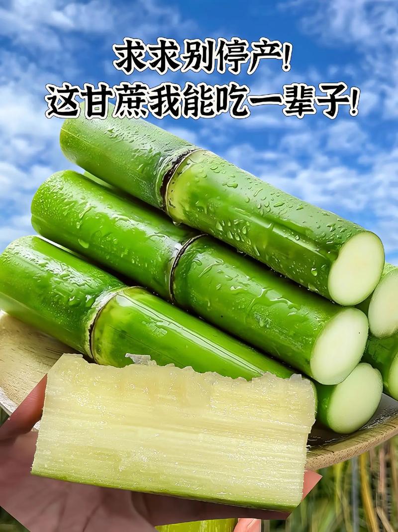 我宣布以后只吃这个陶山脆皮甘蔗啦!#优质农产品 喜欢吃甘蔗的